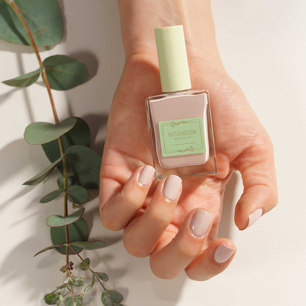 The French Manicure Kit