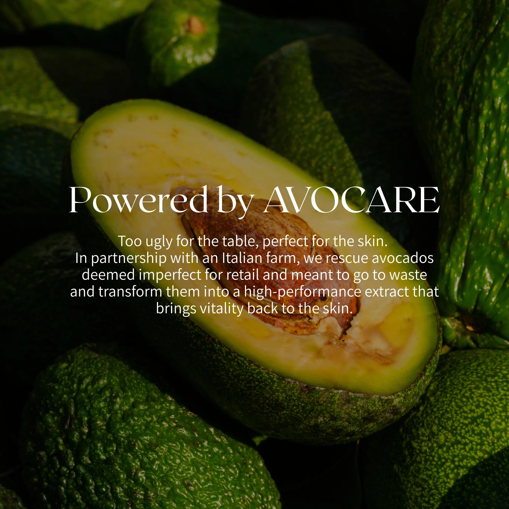 THE HYDROCARE ROUTINE